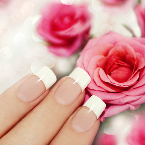 Posh Nails | Premier Nail Salon in Hot Springs